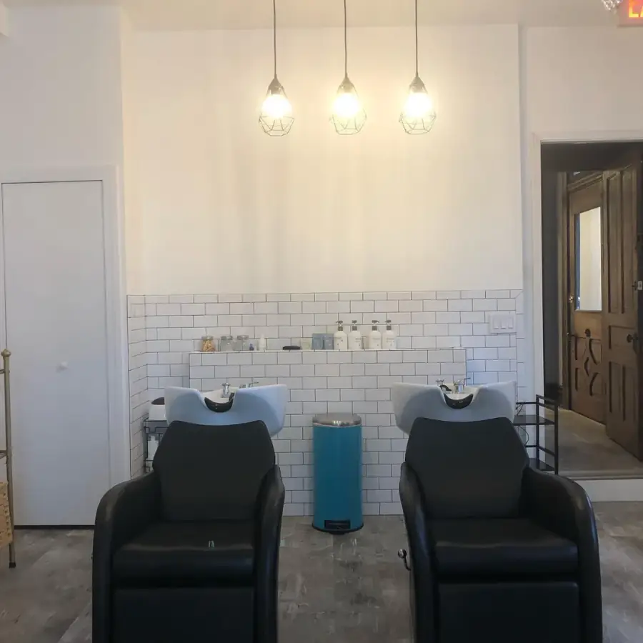TREATMENTS service at Karmaic Beauty, a low-tox hair salon in Newport, KY